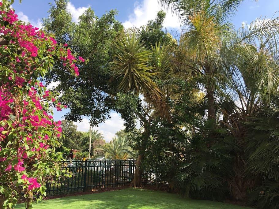 Pool & Garden Rehovot Exterior foto